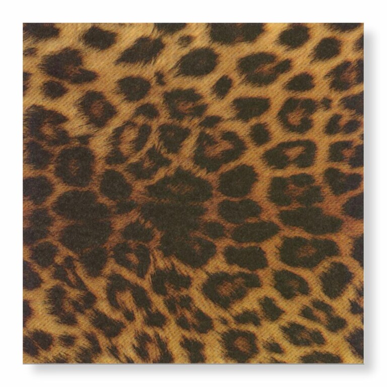 Manor Road The Leopard Dinner