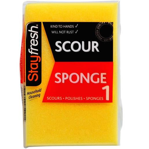 Stay Fresh Scour Sponge