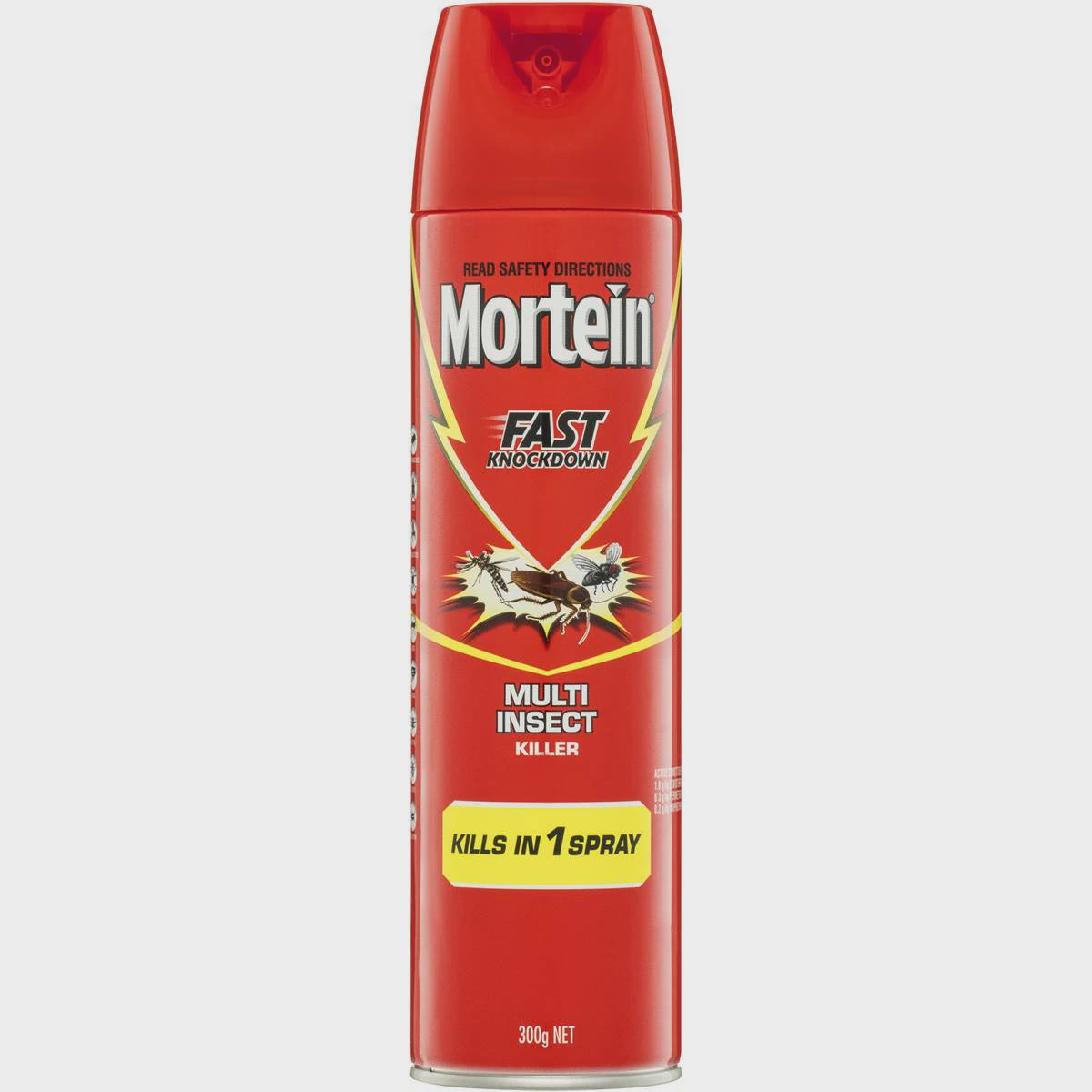 Mortein Fast Knockdown Multi Insect Spray 300g